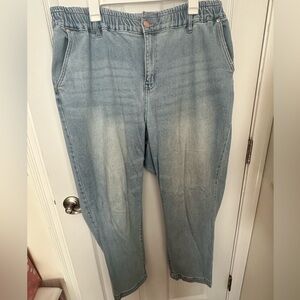 Lane Bryant Signature Fit High-Rise Mom Jeans – Size 18 (Perfect Condition)